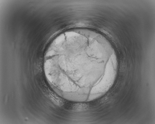 X0000082731314200702161857