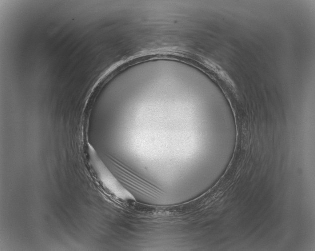 X0000082731316200702161857