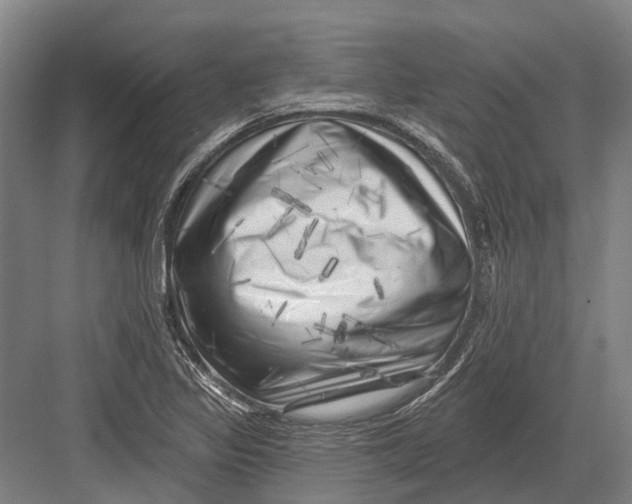 X0000082731317200702161857