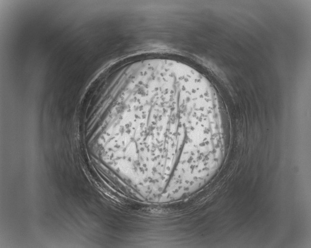 X0000082731318200702161857