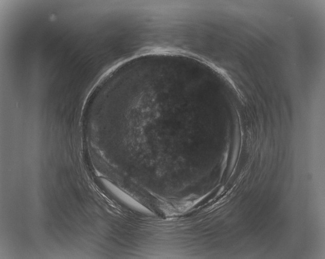 X0000082731319200702161857