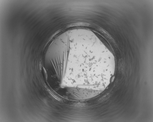 X0000082731321200702161857