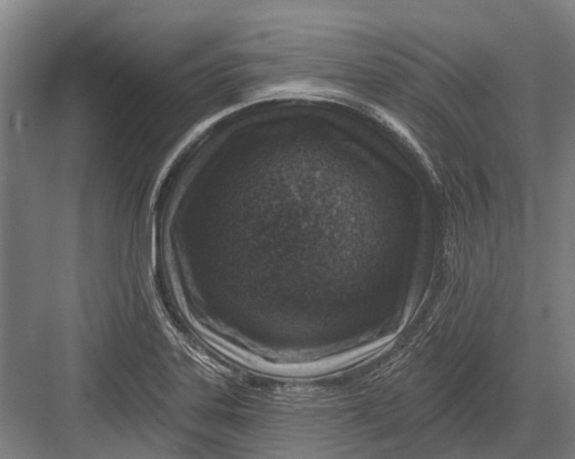 X0000082731323200702161857