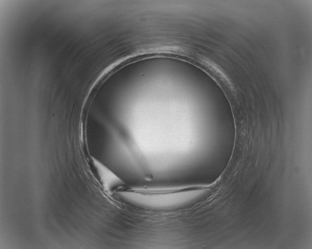 X0000082731324200702161857