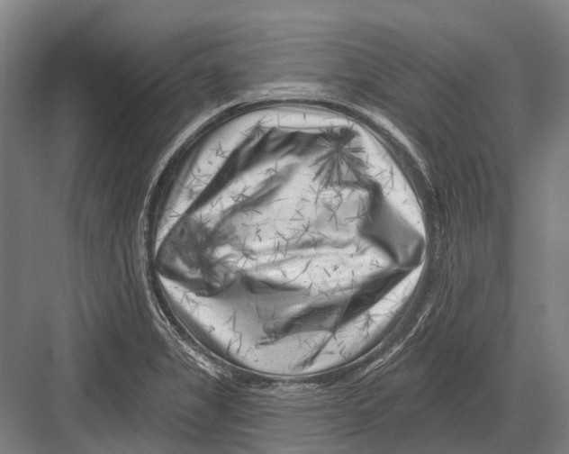 X0000082731325200702161857