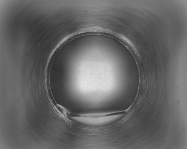 X0000082731326200702161857