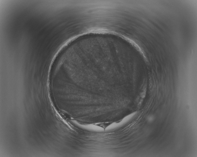 X0000082731327200702161857