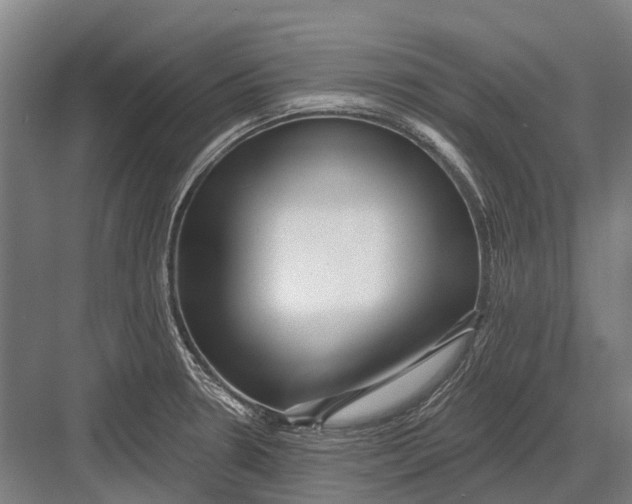 X0000082731330200702161857