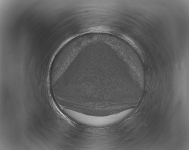 X0000082731331200702161857