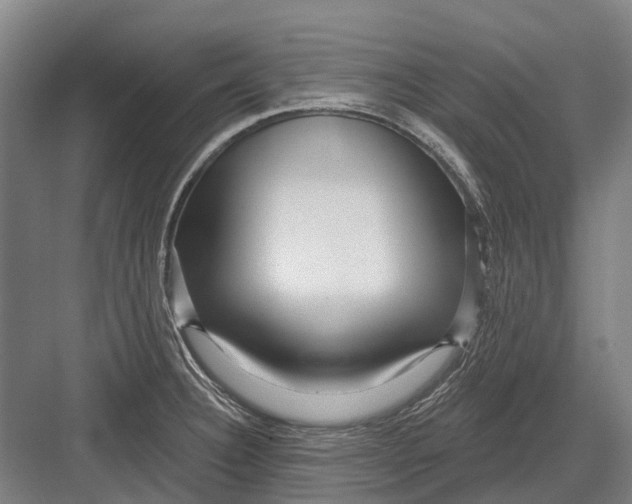 X0000082731332200702161857