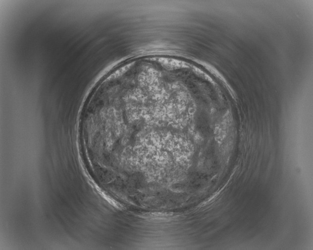 X0000082731333200702161857