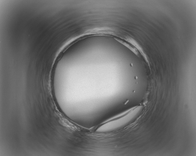 X0000082731336200702161857