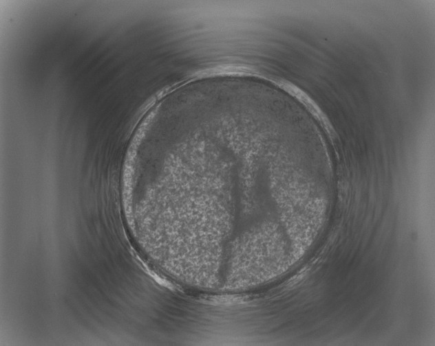 X0000082731337200702161857