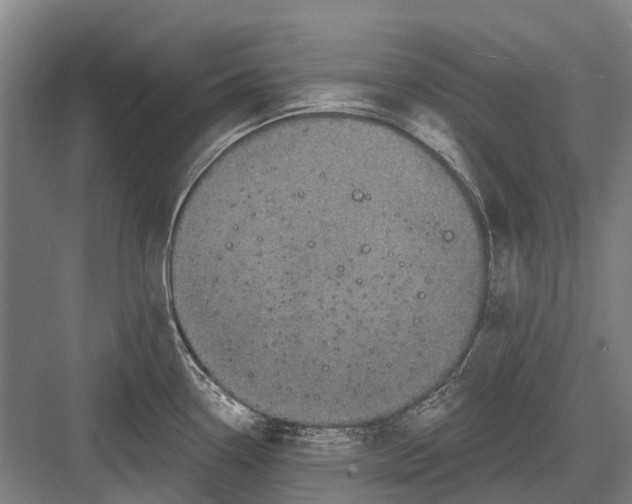 X0000082731338200702161857