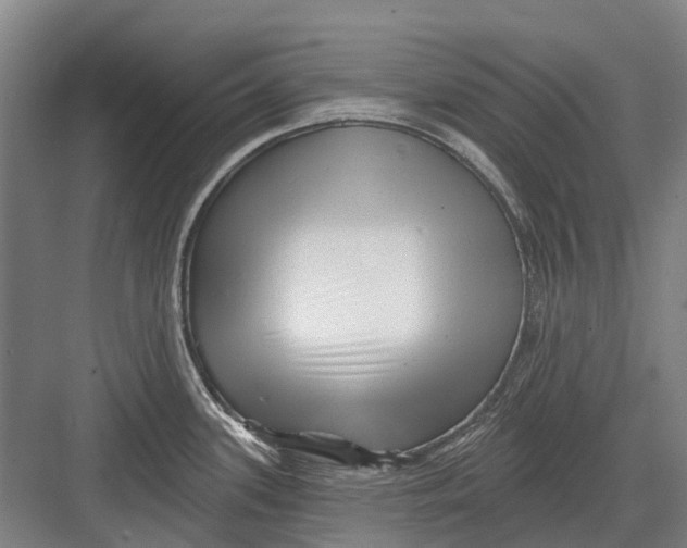 X0000082731339200702161857