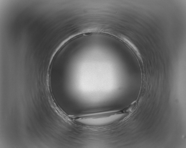 X0000082731340200702161857