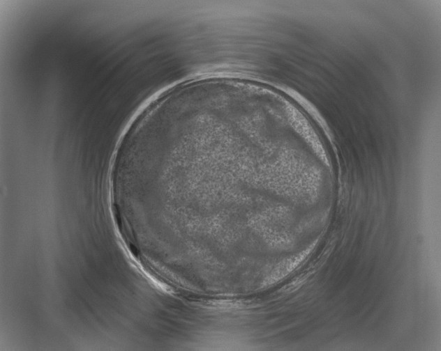 X0000082731341200702161857