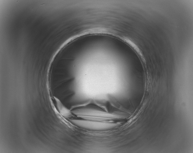 X0000082731342200702161857