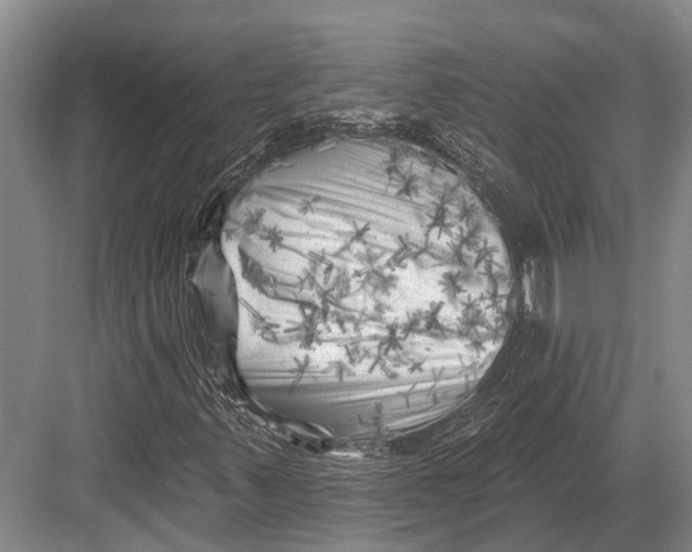 X0000082731347200702161856