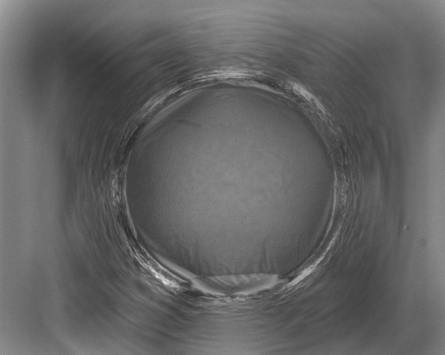 X0000082731353200702161856