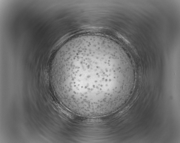 X0000082731354200702161856