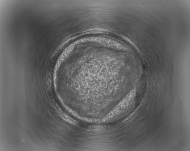 X0000082731355200702161856