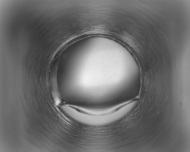 X0000082731356200702161856