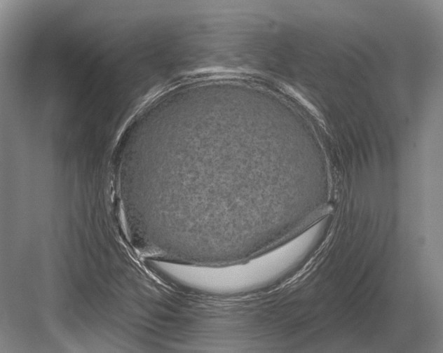 X0000082731357200702161856