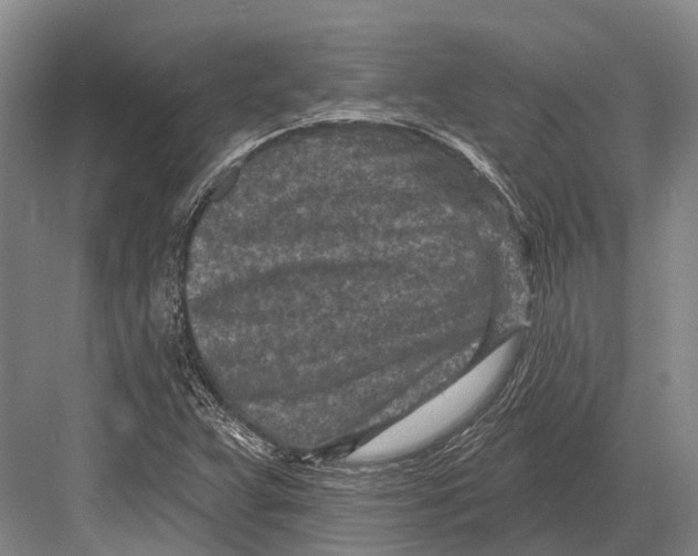 X0000082731359200702161856