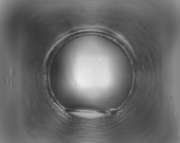 X0000082731360200702161856