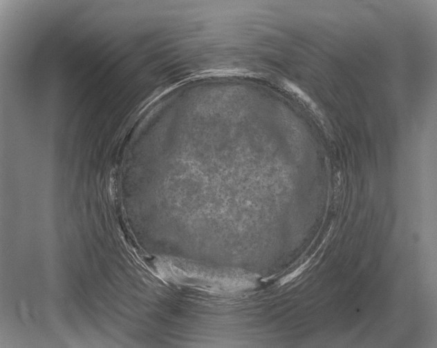 X0000082731361200702161856