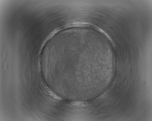 X0000082731362200702161856