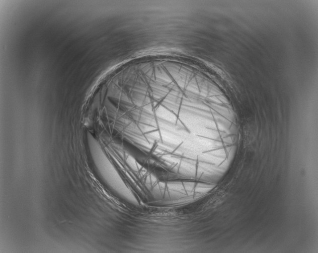 X0000082731363200702161856