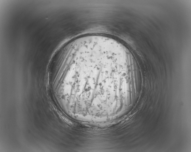 X0000082731366200702161856