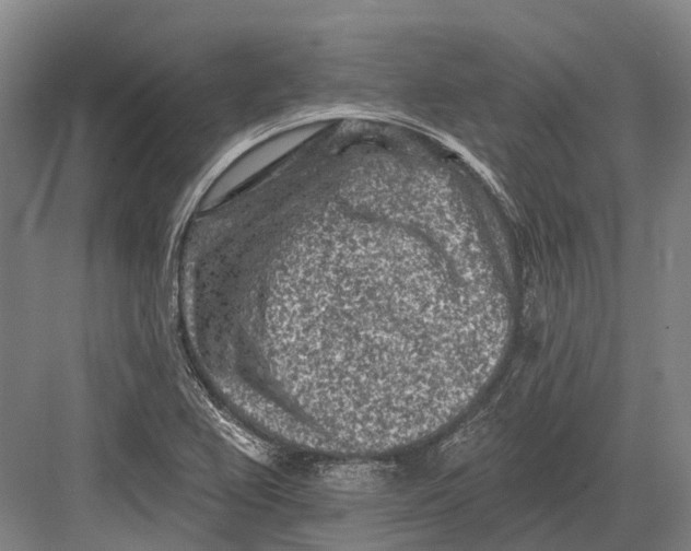 X0000082731367200702161856