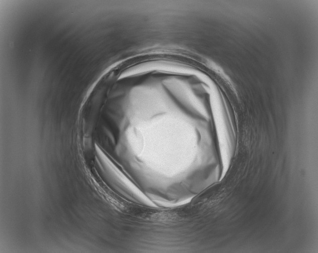 X0000082731368200702161856