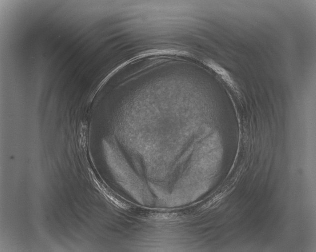 X0000082731369200702161856