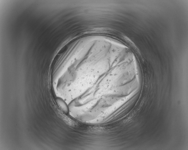 X0000082731370200702161856