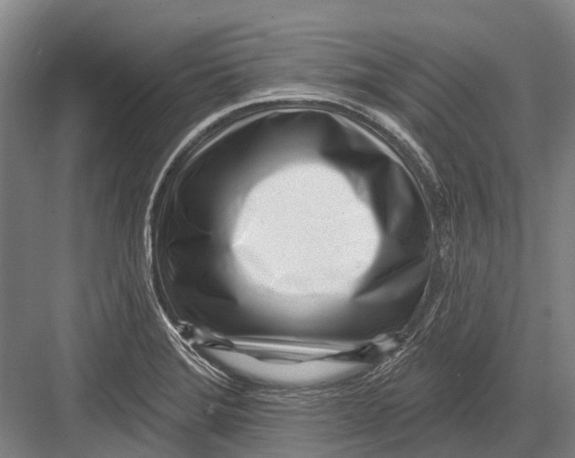 X0000082731372200702161856