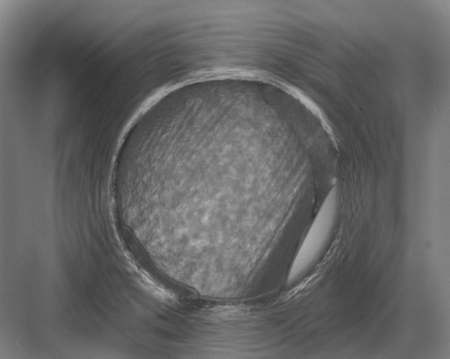 X0000082731373200702161856