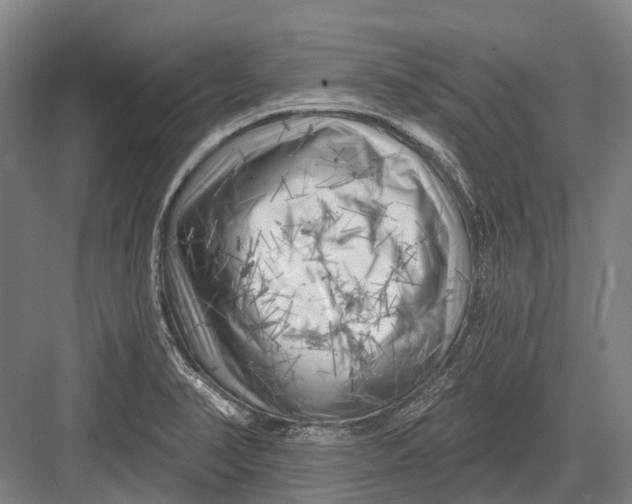 X0000082731374200702161856