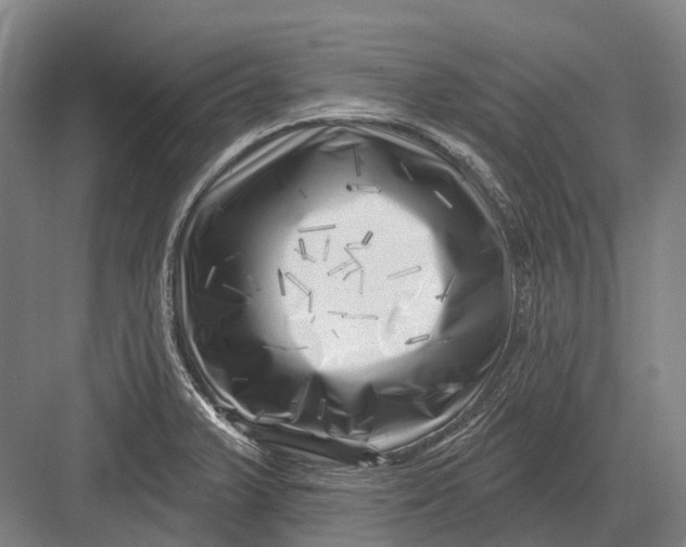 X0000082731375200702161856