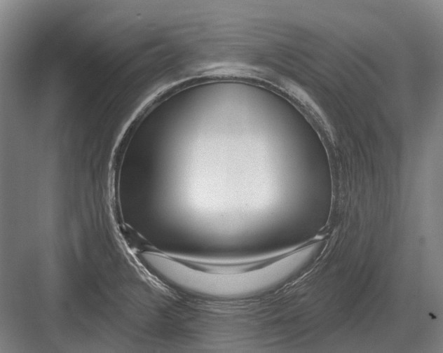 X0000082731376200702161856