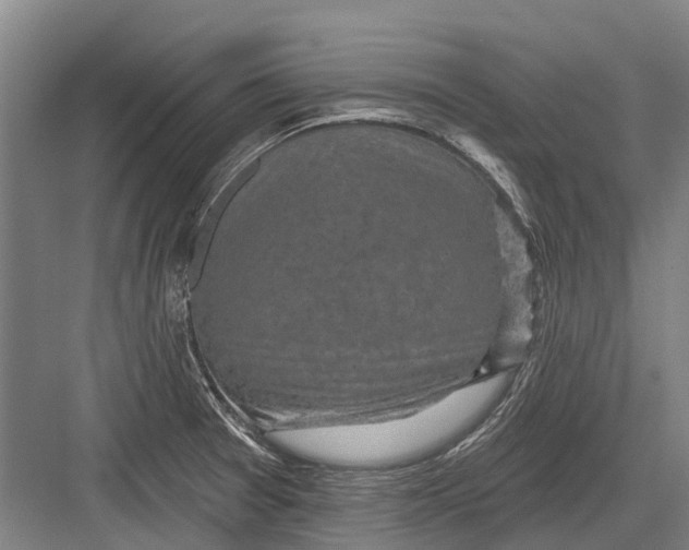 X0000082731377200702161856