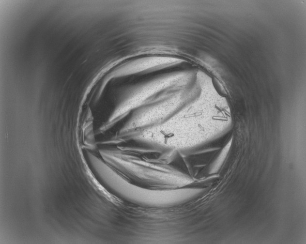 X0000082731379200702161856