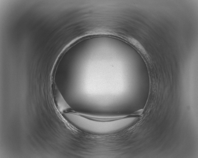 X0000082731380200702161856