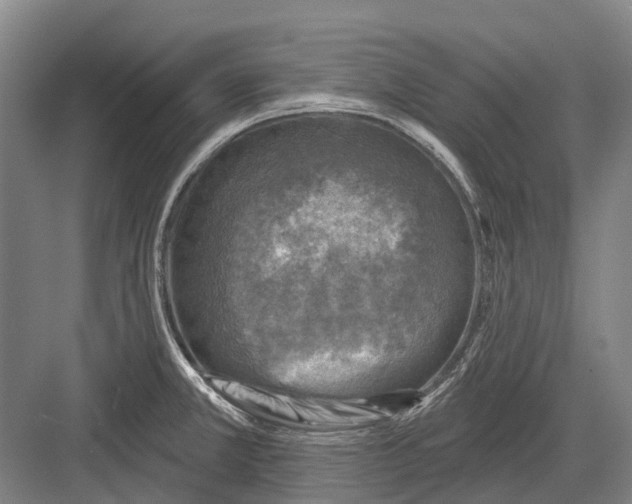 X0000082731381200702161856