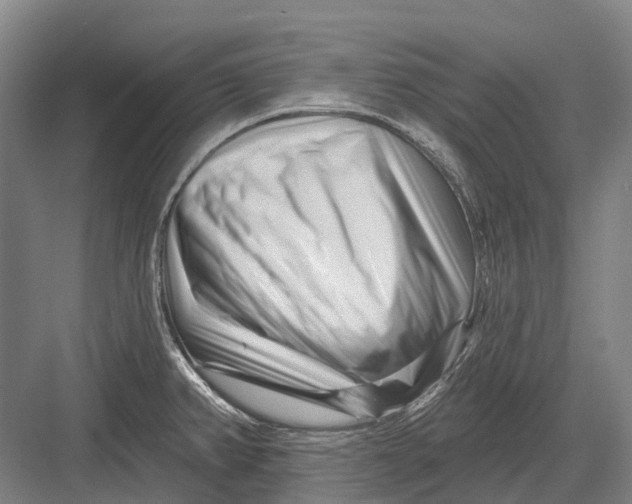 X0000082731382200702161856