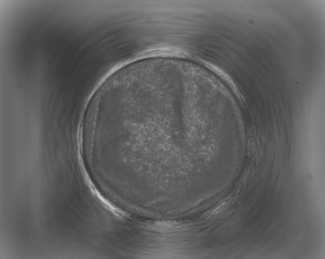 X0000082731383200702161856