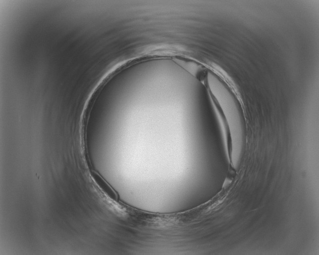 X0000082731384200702161856